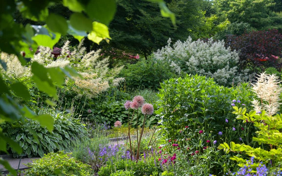 Ein Beet mit bunten Blumen