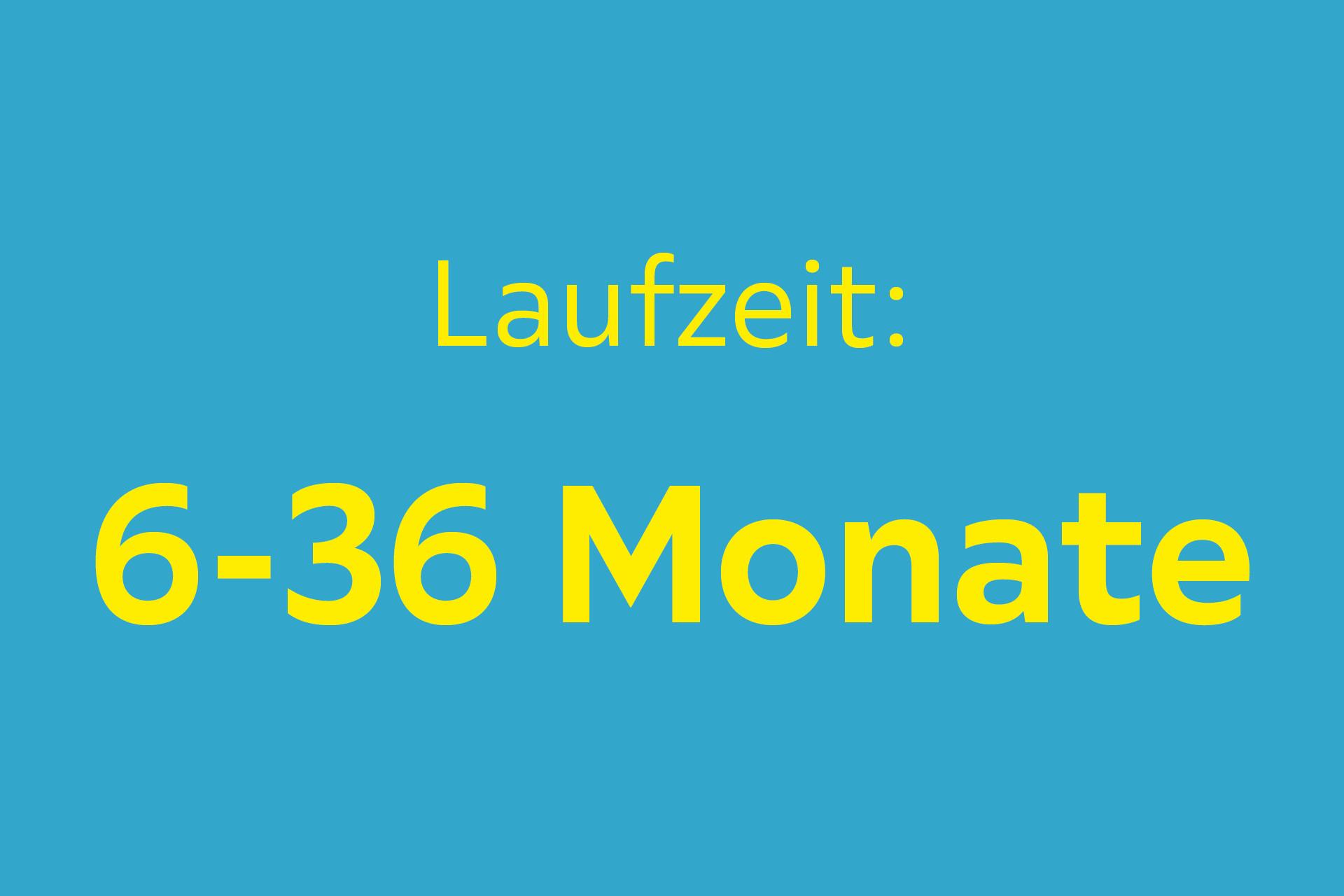 Laufzeit: 6-36 Monate
