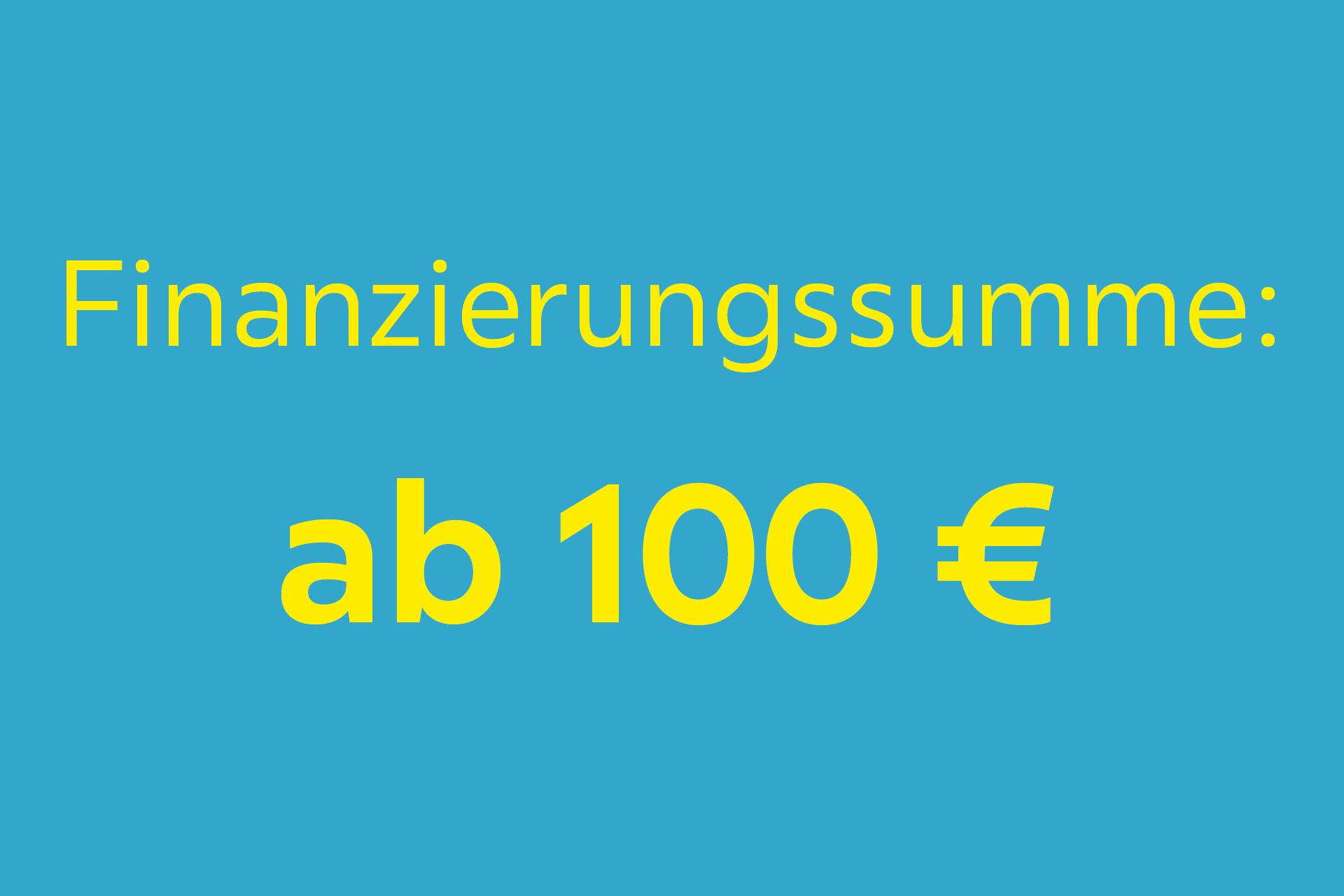 Finanzierungssumme: ab 100 Euro 