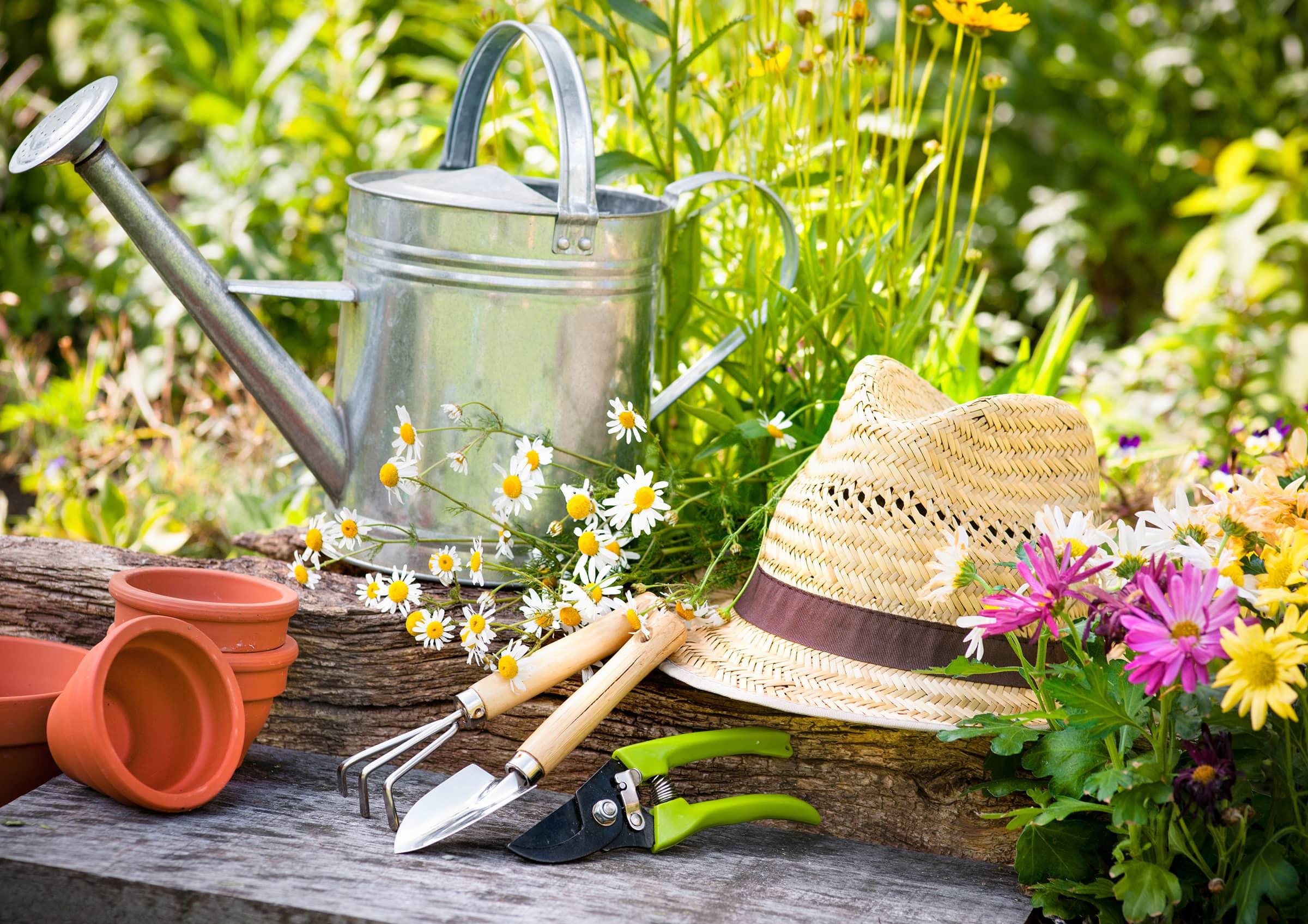 Gartenwerkzeuge und Strohhut zwischen bunten Blumen