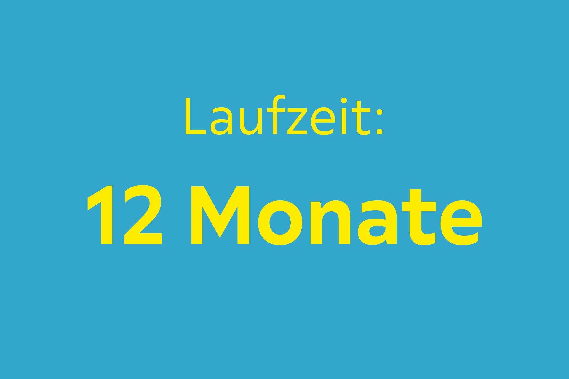Laufzeit: 12 Monate