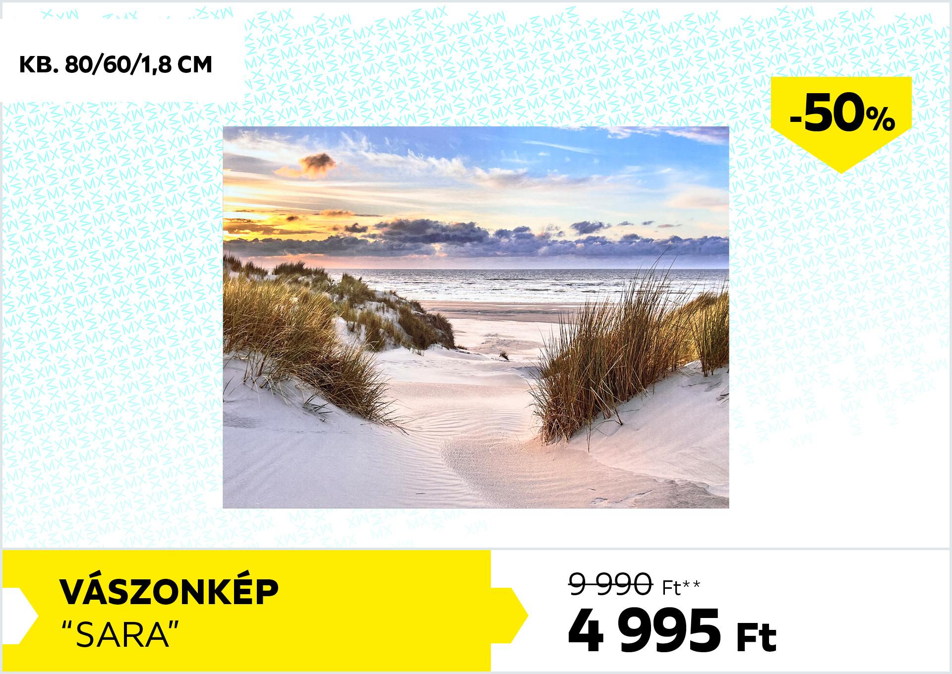 Vászonkép KB. 80/60/1,8 CM SARA 9990Forint helyett 4995Forint kedvezmény mértéke 50%