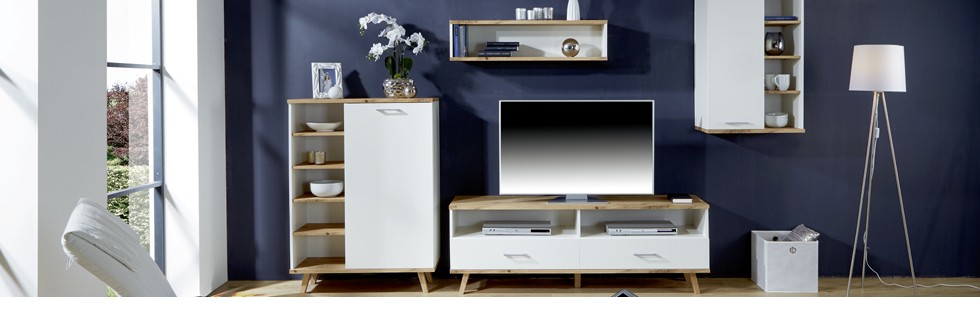 C1C4C5_header