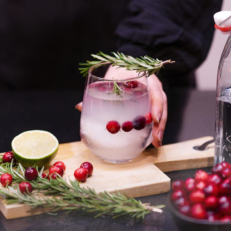 zimný gin tonic s brusnicami