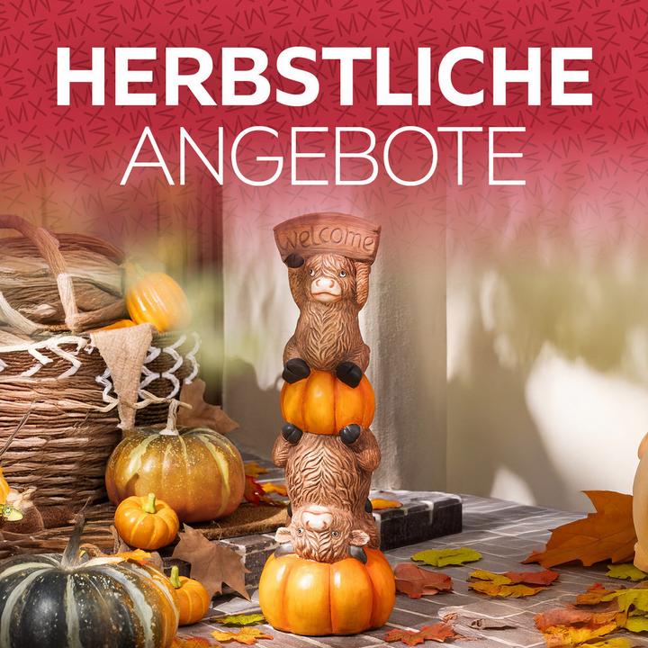 Herbstliche Angebote