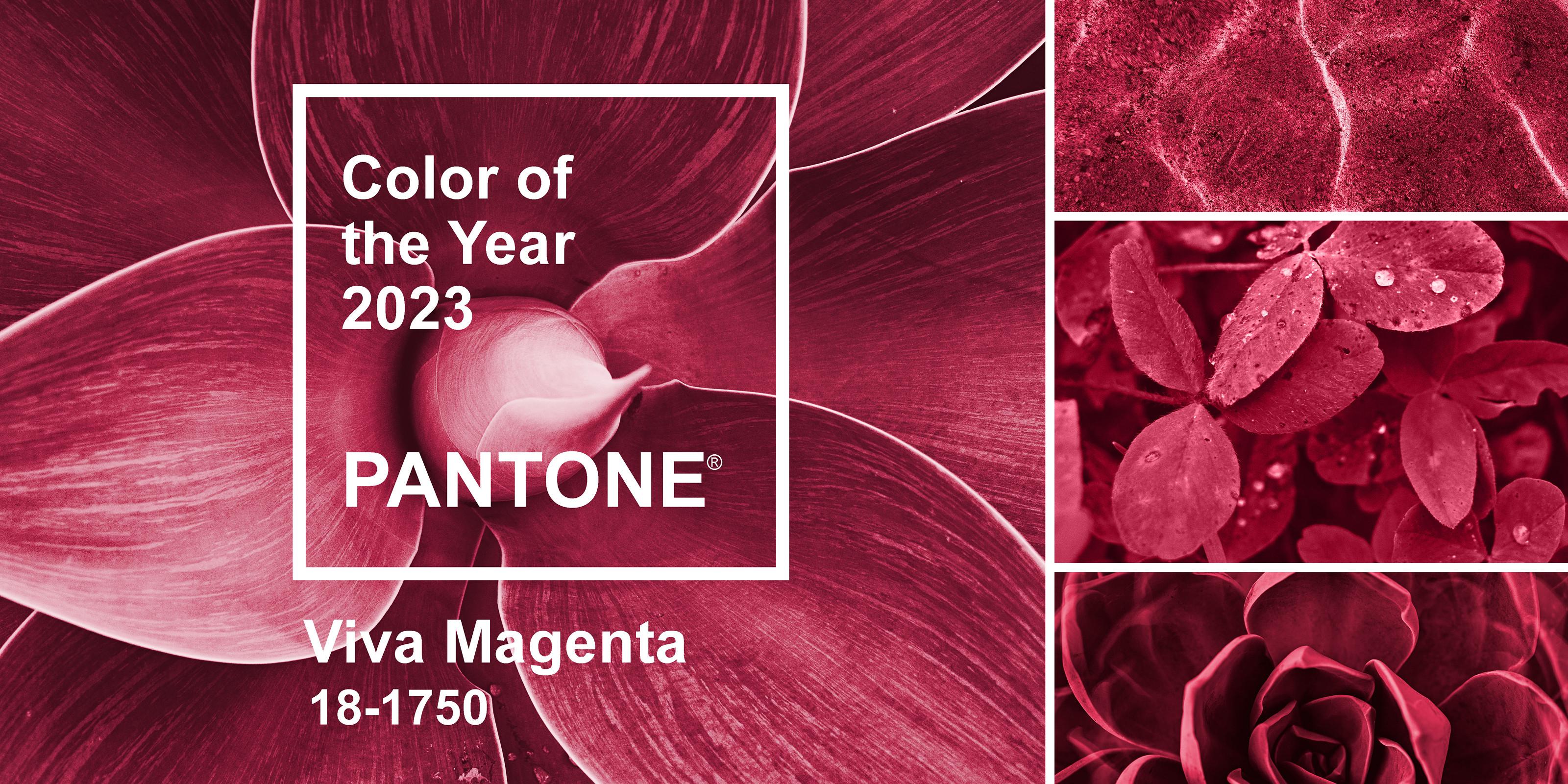 Pantone barva roku 2023 Viva Magenta