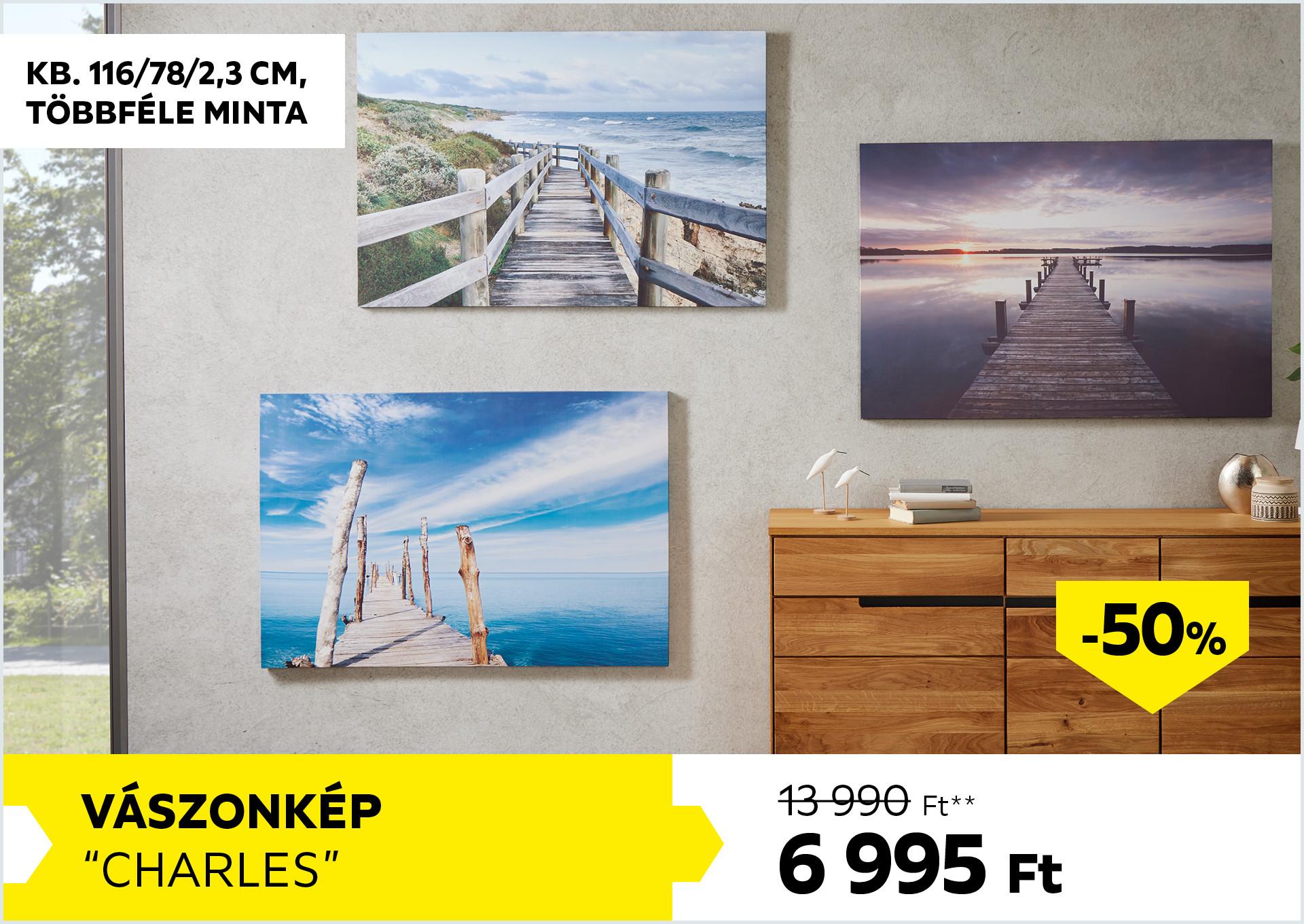 Vászonkép  KB. 116/78/2,3CM CHARLES 13990Forint helyett 6995Forint kedvezmény mértéke 50%