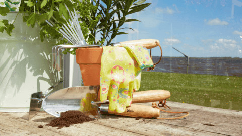 teaser_c17c5c1_top_480_gartenwerkzeug