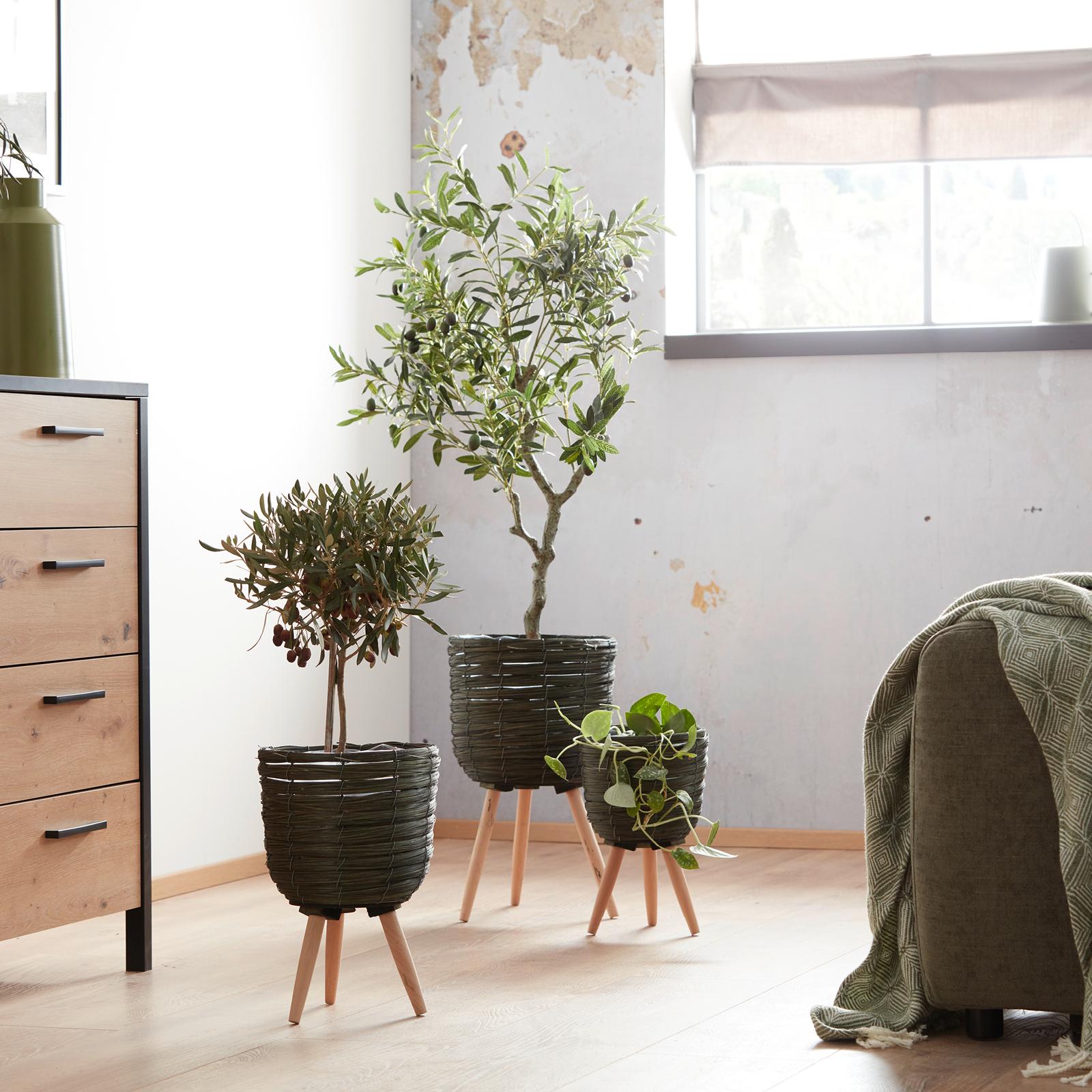 prírodné obaly na kvetináče z kolekcie Oil green