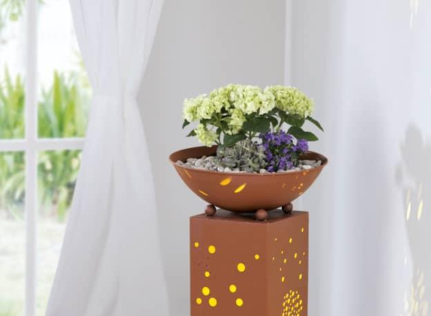 Pflanze auf Blumensäule