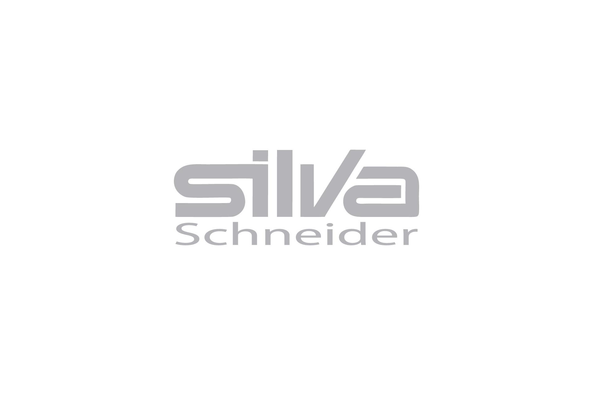 MX-AT-LP-Silva-Schneider-Logo-Anik.png