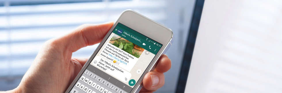 cineu_01_DESKTOP_10_LANDINGPAGES_03_SERVICE_03_WHATSAPP_D-Whatsapp-SW4