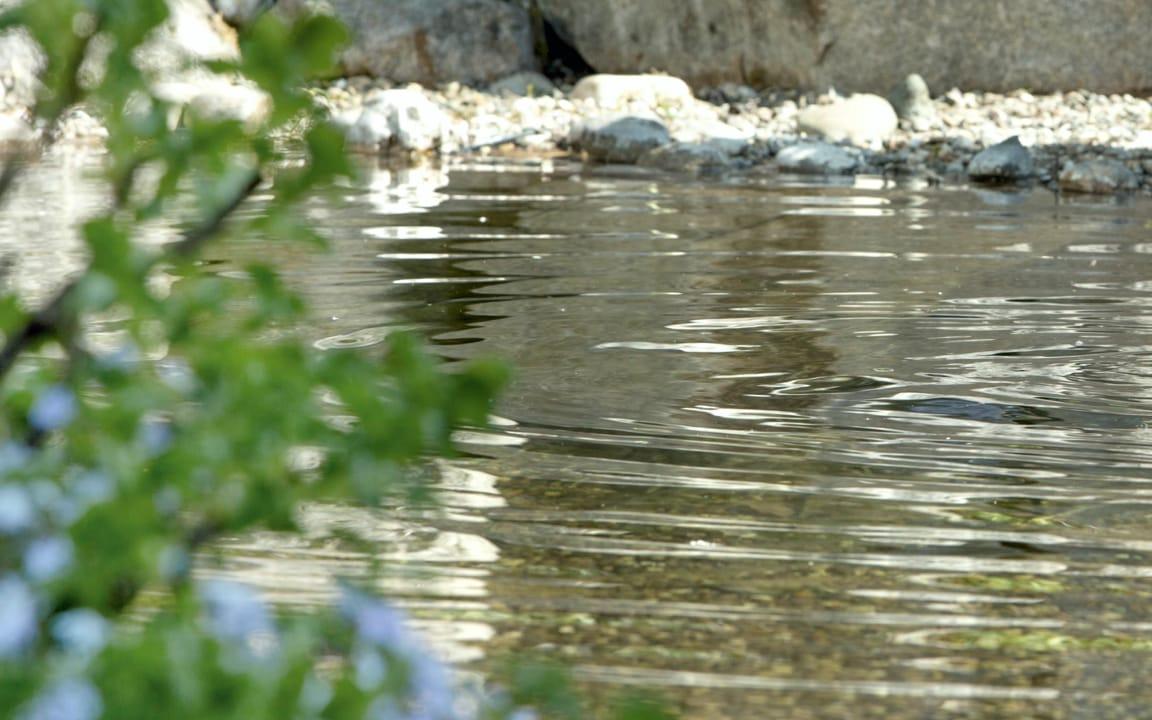 Wasseroberfläche mit leichten Wellen