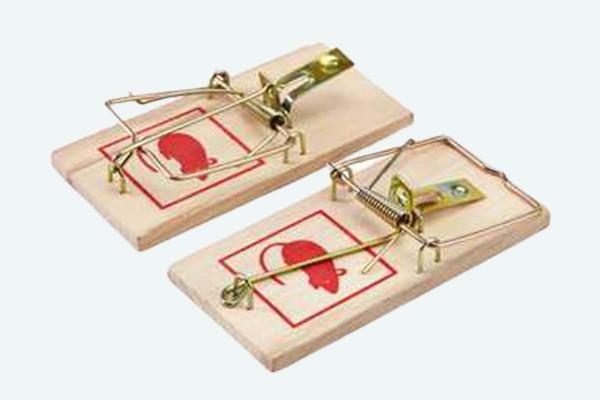 Schädlingsbekämpfung