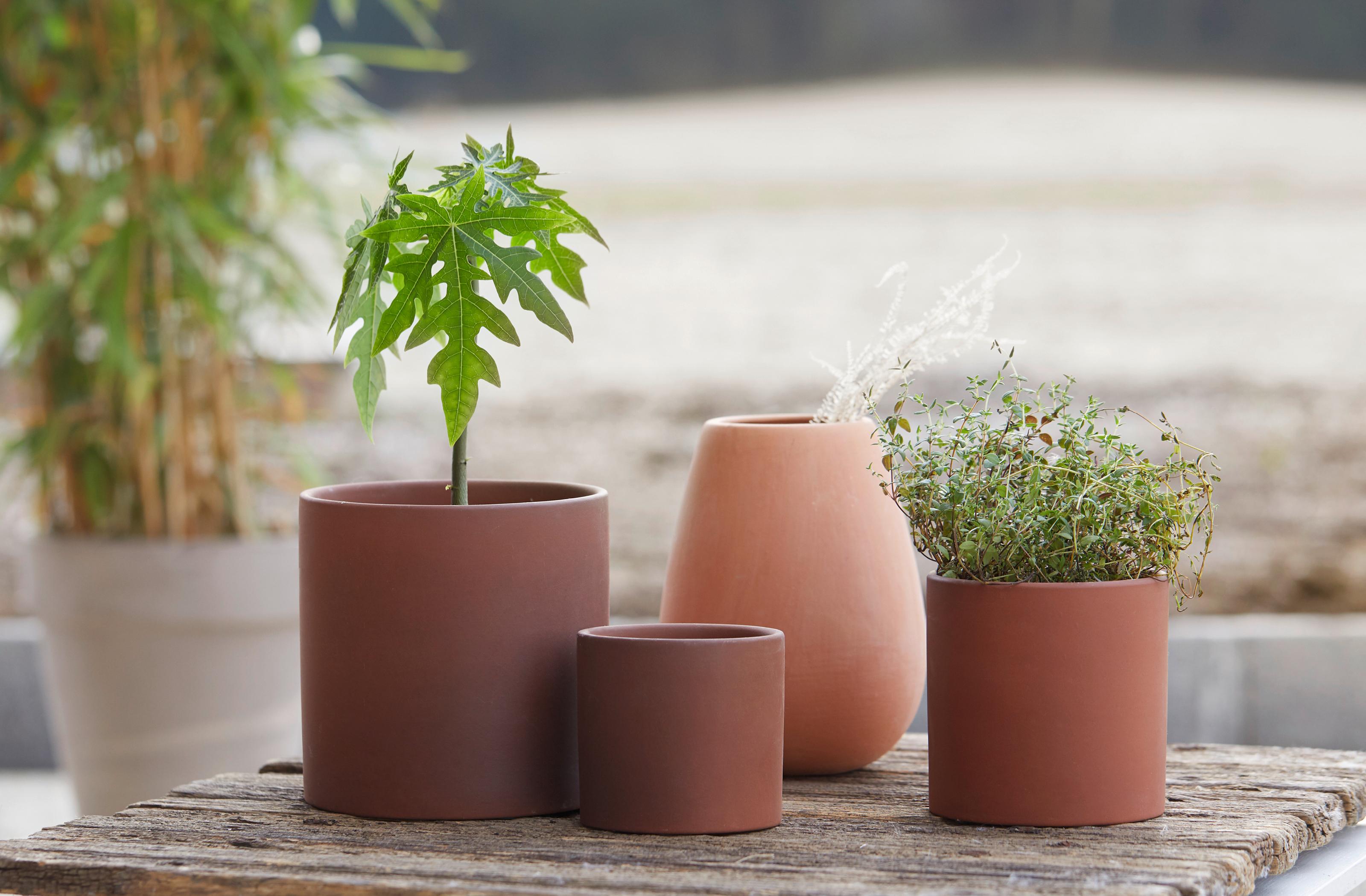 farebné kvetináče zútulnia balkón alebo terasu