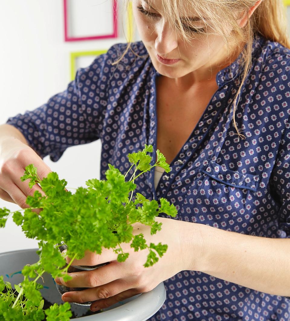 postup pre výrobu bylinkovej záhrady na stenu 6