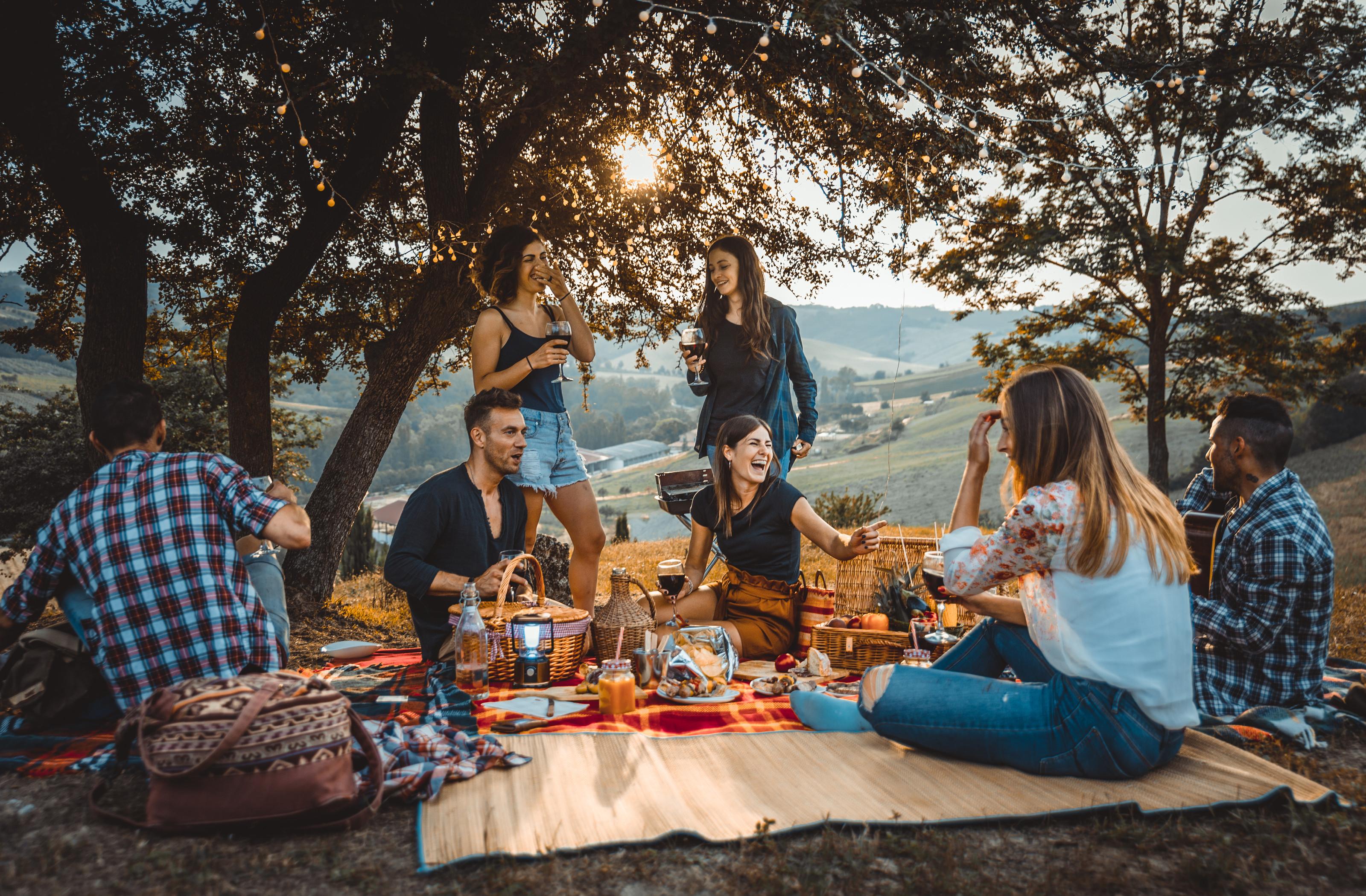 piknik s priateľmi