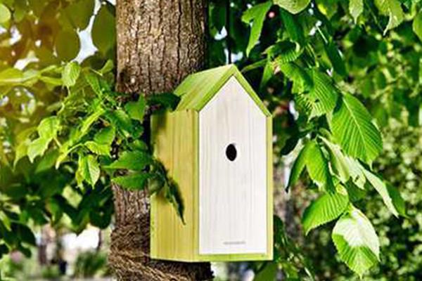 vogelhaeuser-freilaufgehege