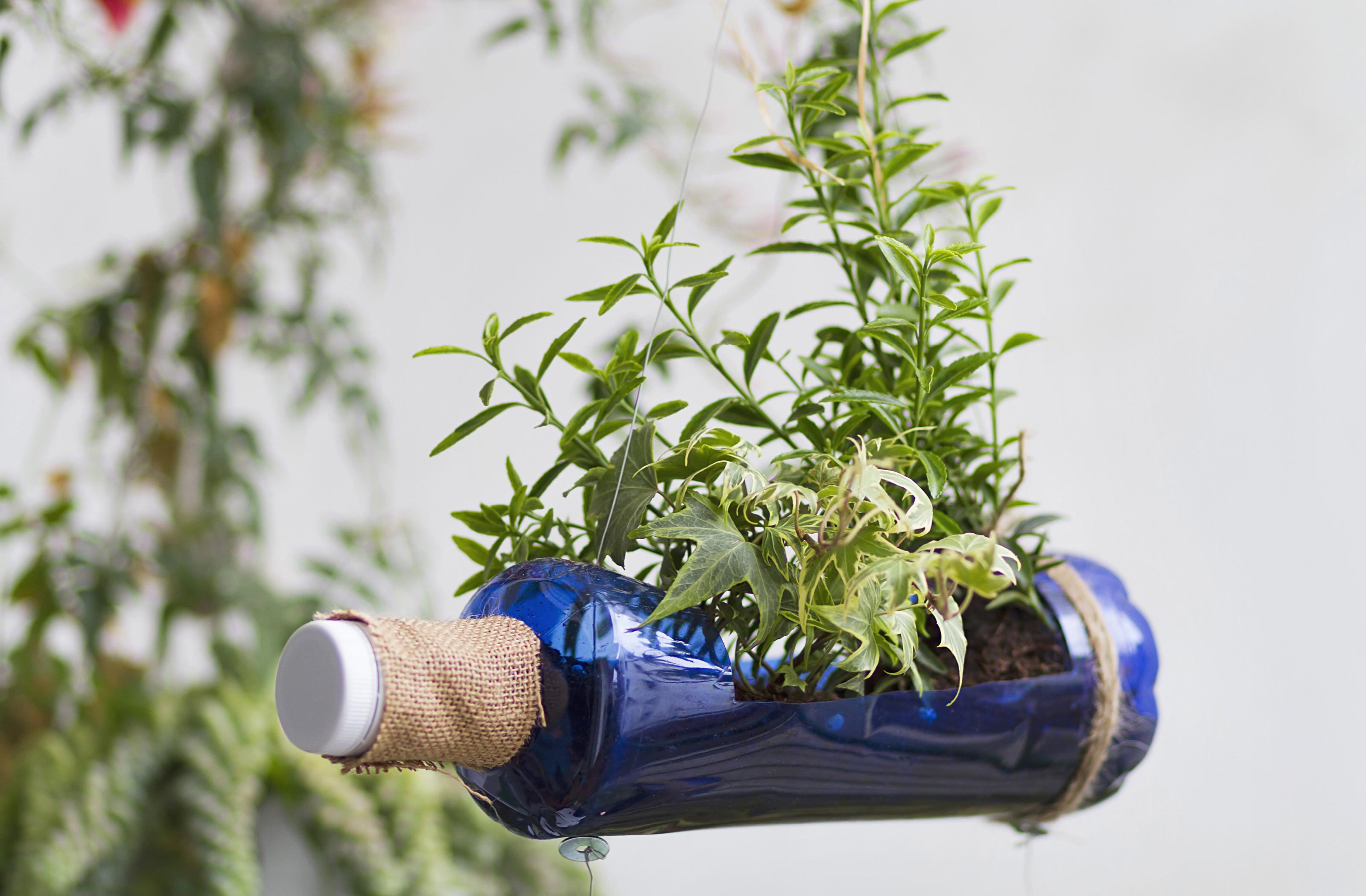 vertikálna záhrada z recyklovaného materiálu
