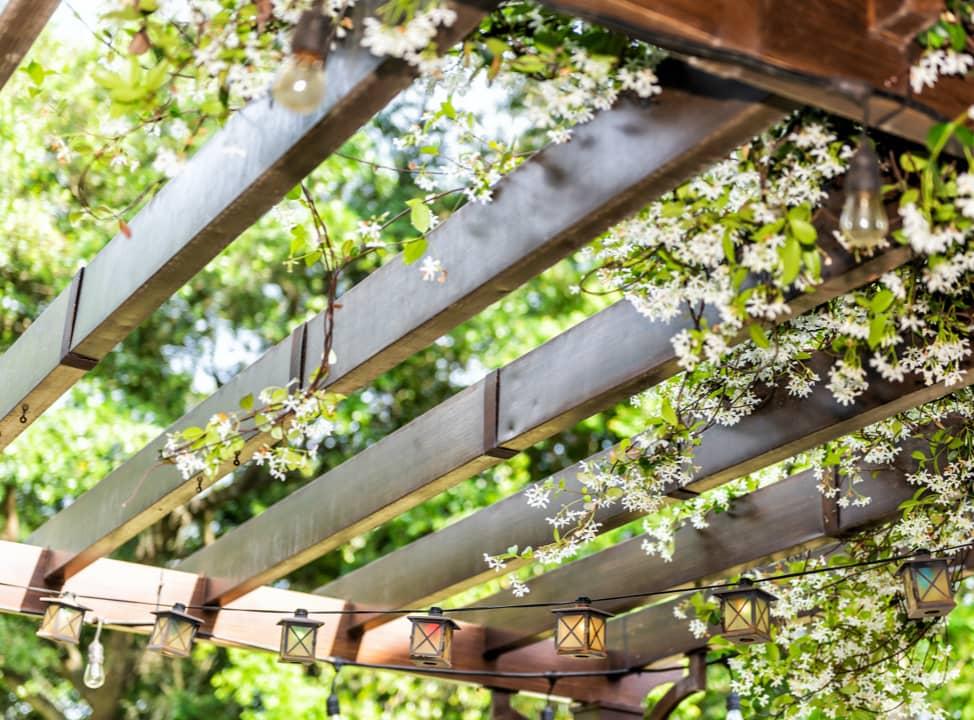 Eine mit Blüten überwachsene Pergola