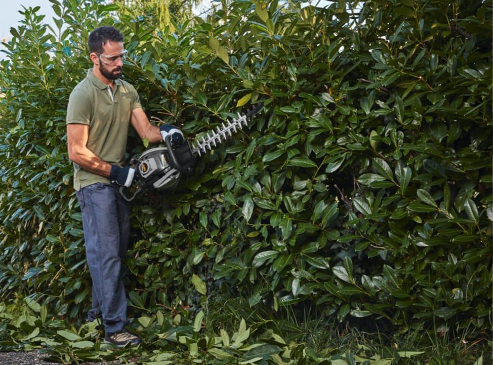 Mann schneidet Hecke mit Heckenschere