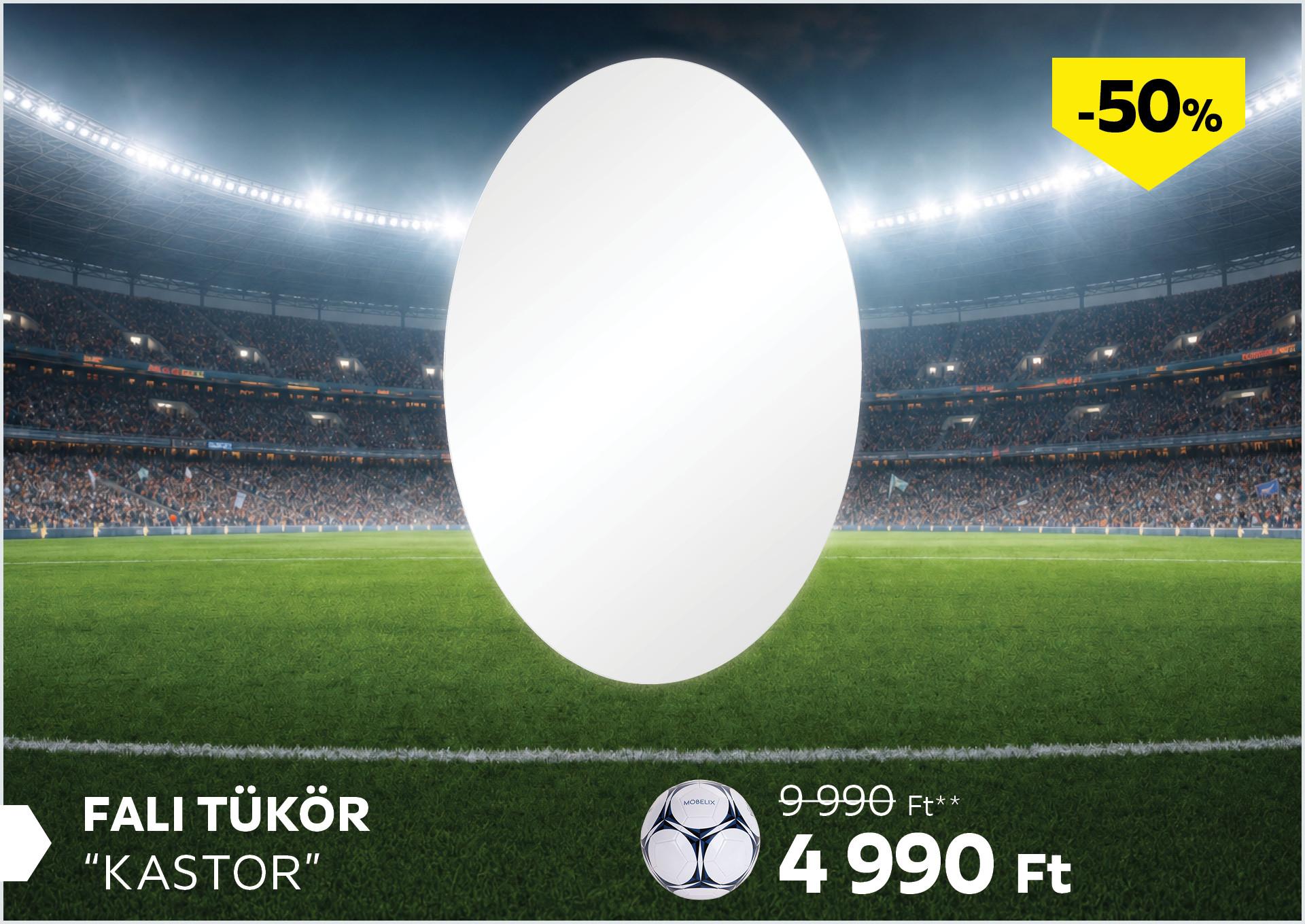 FALI TÜKÖR KASTOR 9990Forint helyett 4990Forint kedvezmény mértéke 50%