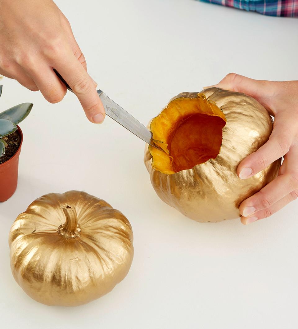 DIY jesenná dekorácia z tekvice a sukulentov krok 3