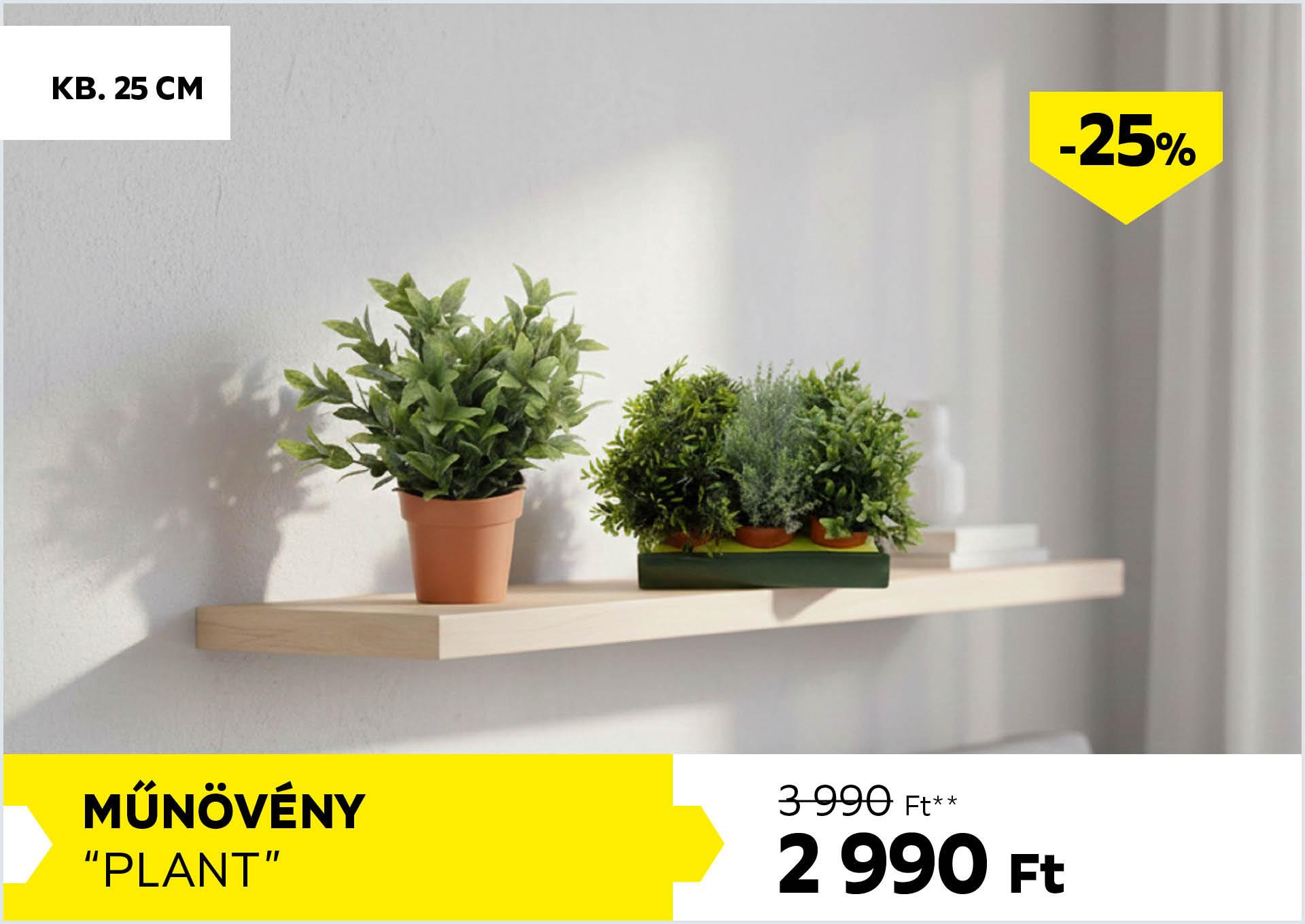 Műnövény kb.25cm PLANT 3990Forint helyett 2990Forint kedvezmény mértéke 25%