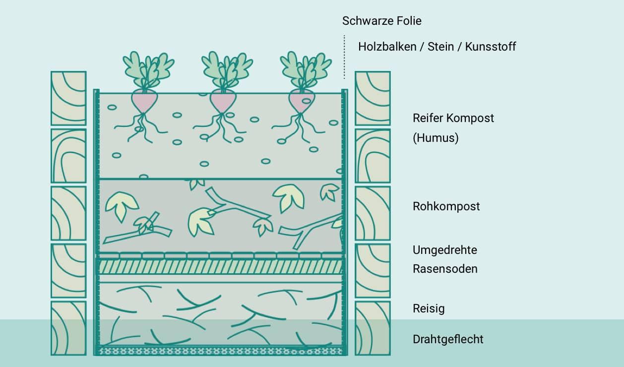 Infografik Hochbeet für Nutzpflanzen