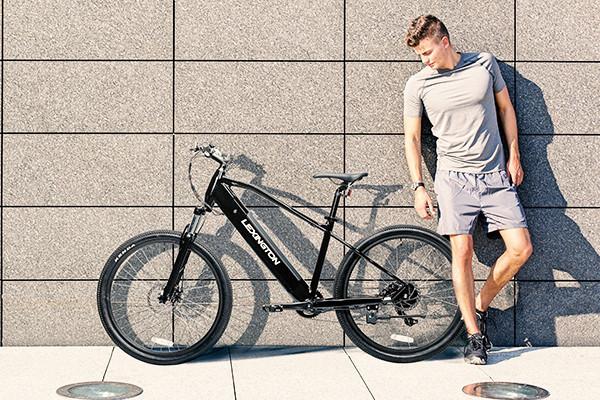 Freizeit-Fahrrad-E_Bike