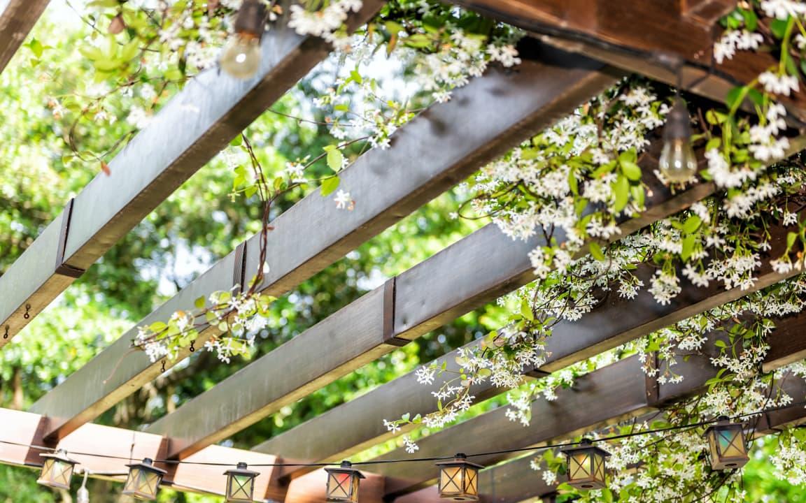 Pergola mit Blüten bewachsen