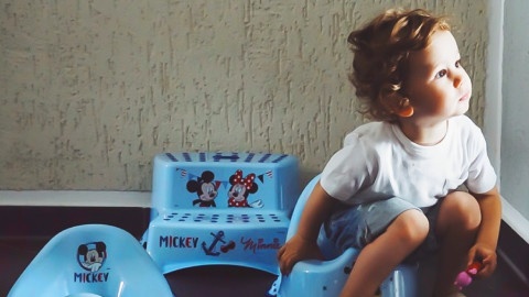 t480_category_c19c7_toilettentrainer