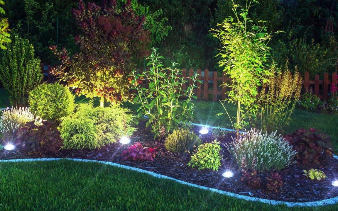 Durch Spots beleuchtetes Blumenbeet in der Nacht