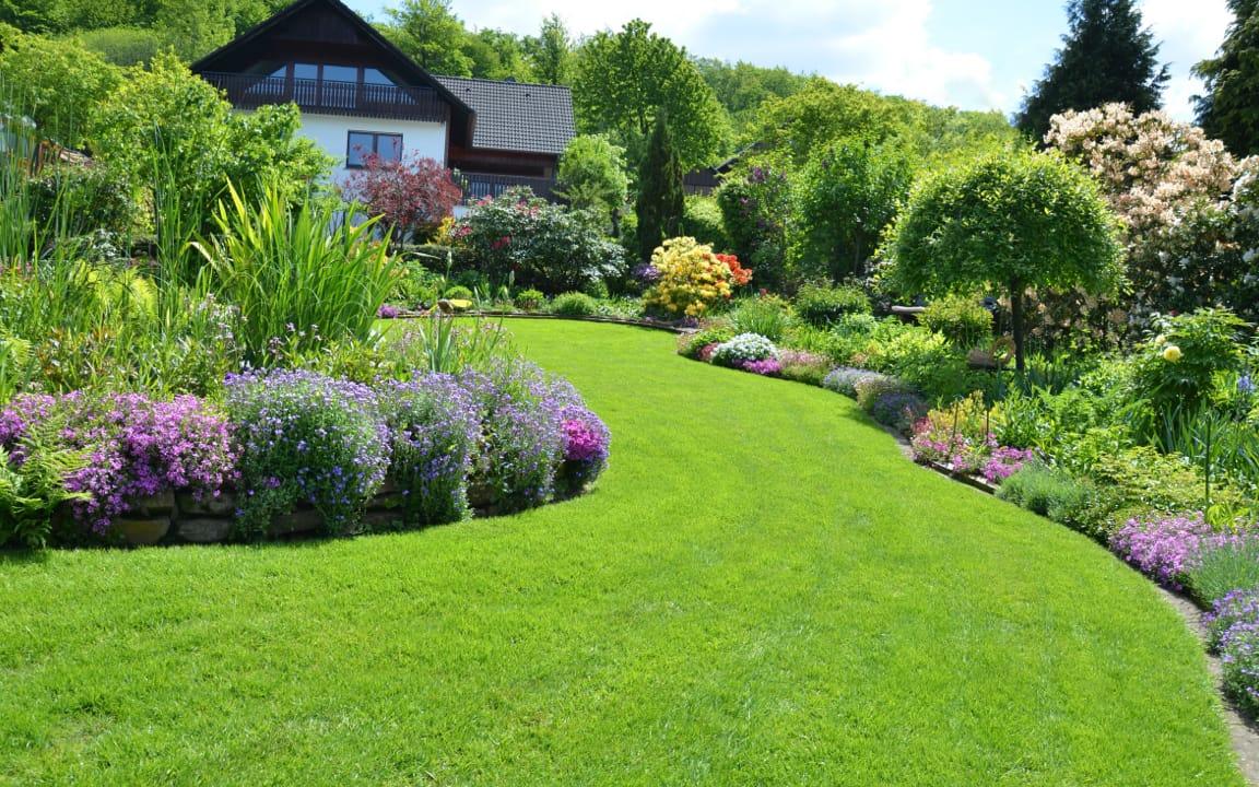 Gepflegter Rasen zwischen blühenden Blumen