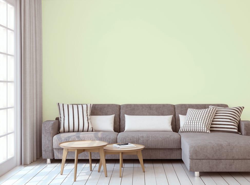 Polstersofa vor pastellfarbiger Wand