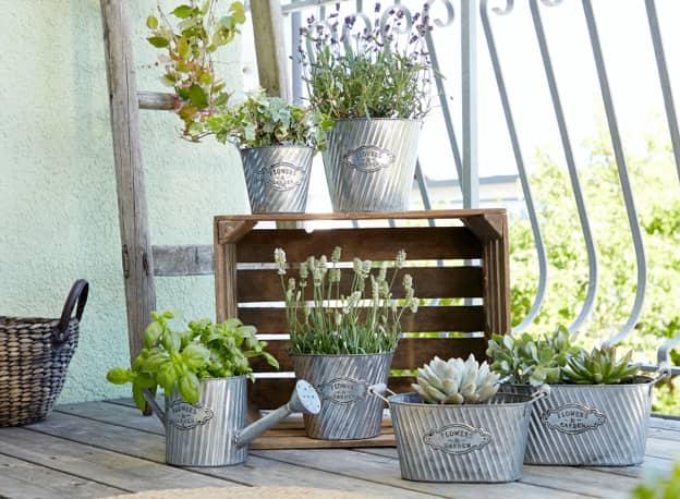 Pflanzen in Übertöpfen aus Metall