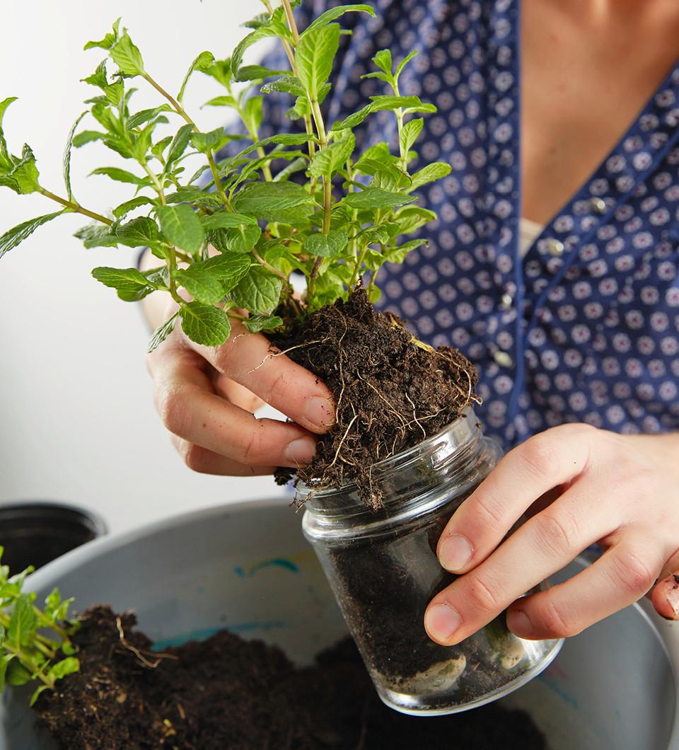 postup pre výrobu bylinkovej záhrady na stenu 5