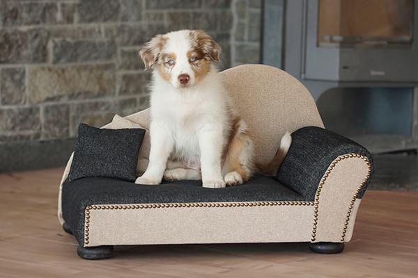 Hundesofa