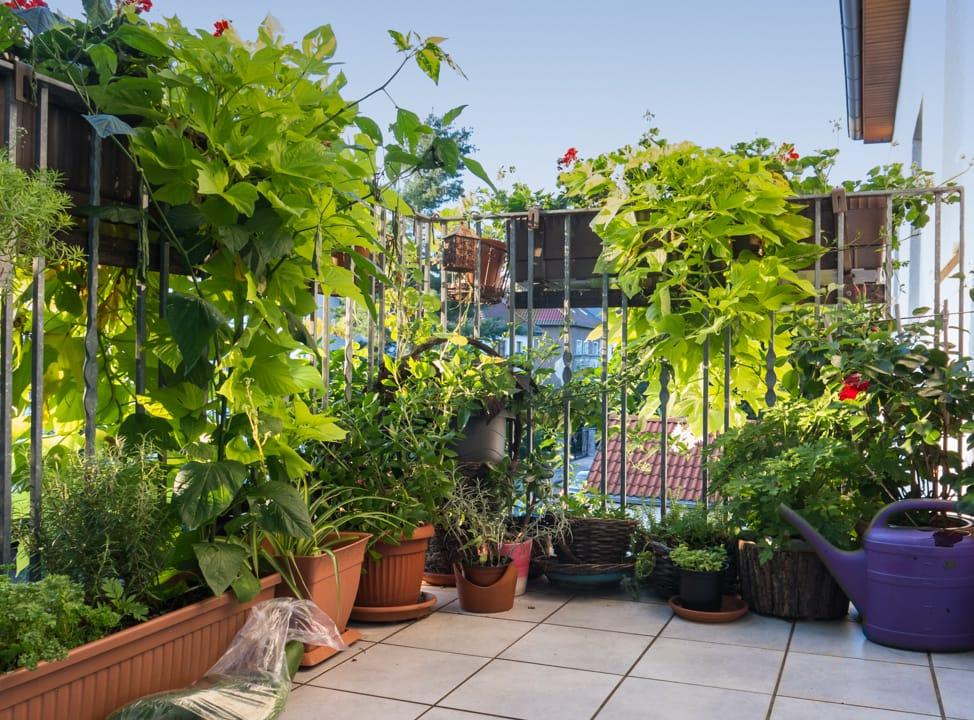 Balkon mit einer Vielfalt an Pflanzen