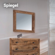t230_fp_faso_spiegel