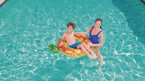 t480_categoryPage_c34c4_ananas