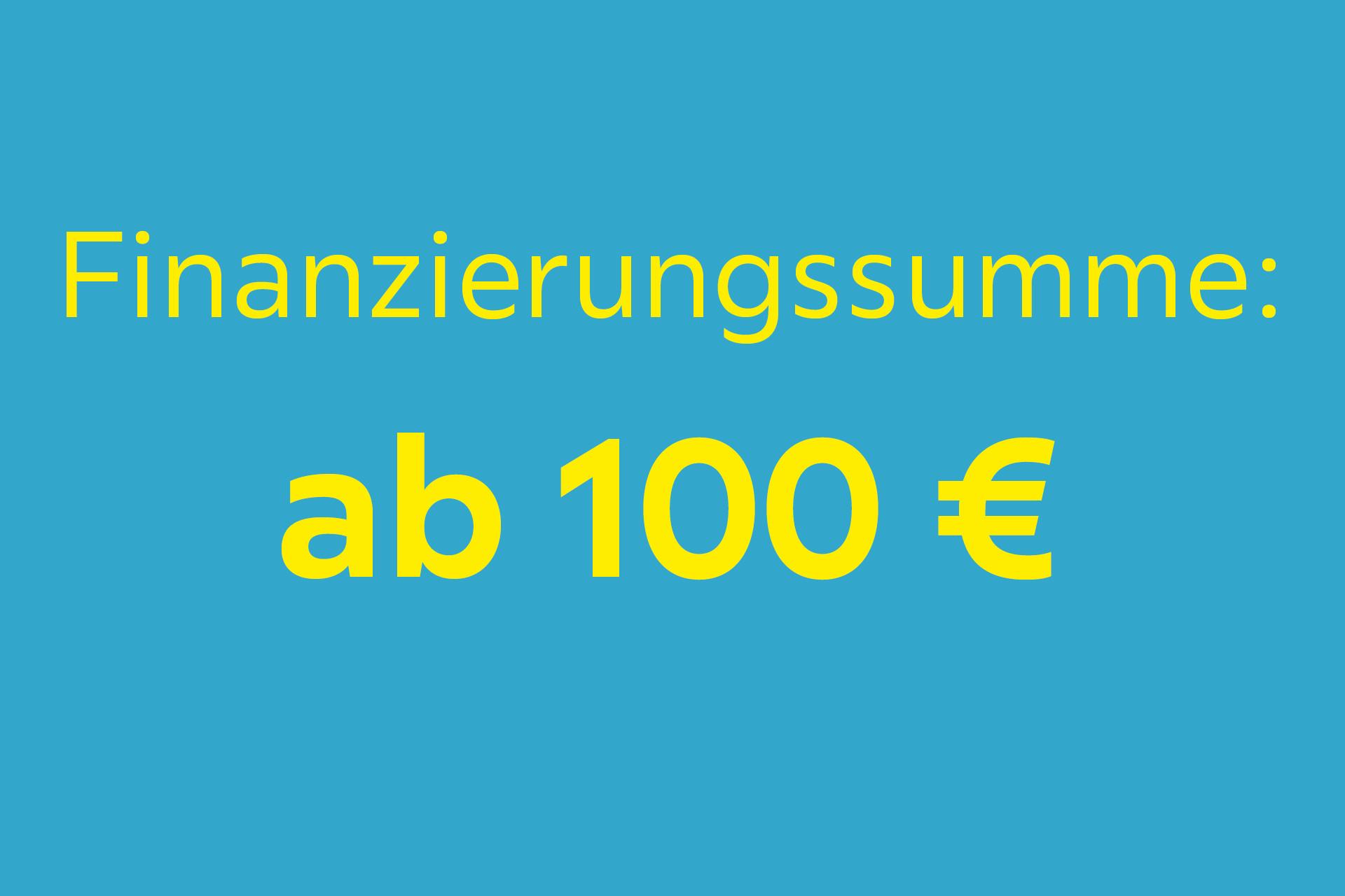 Finanzierungssumme: ab 100 Euro 