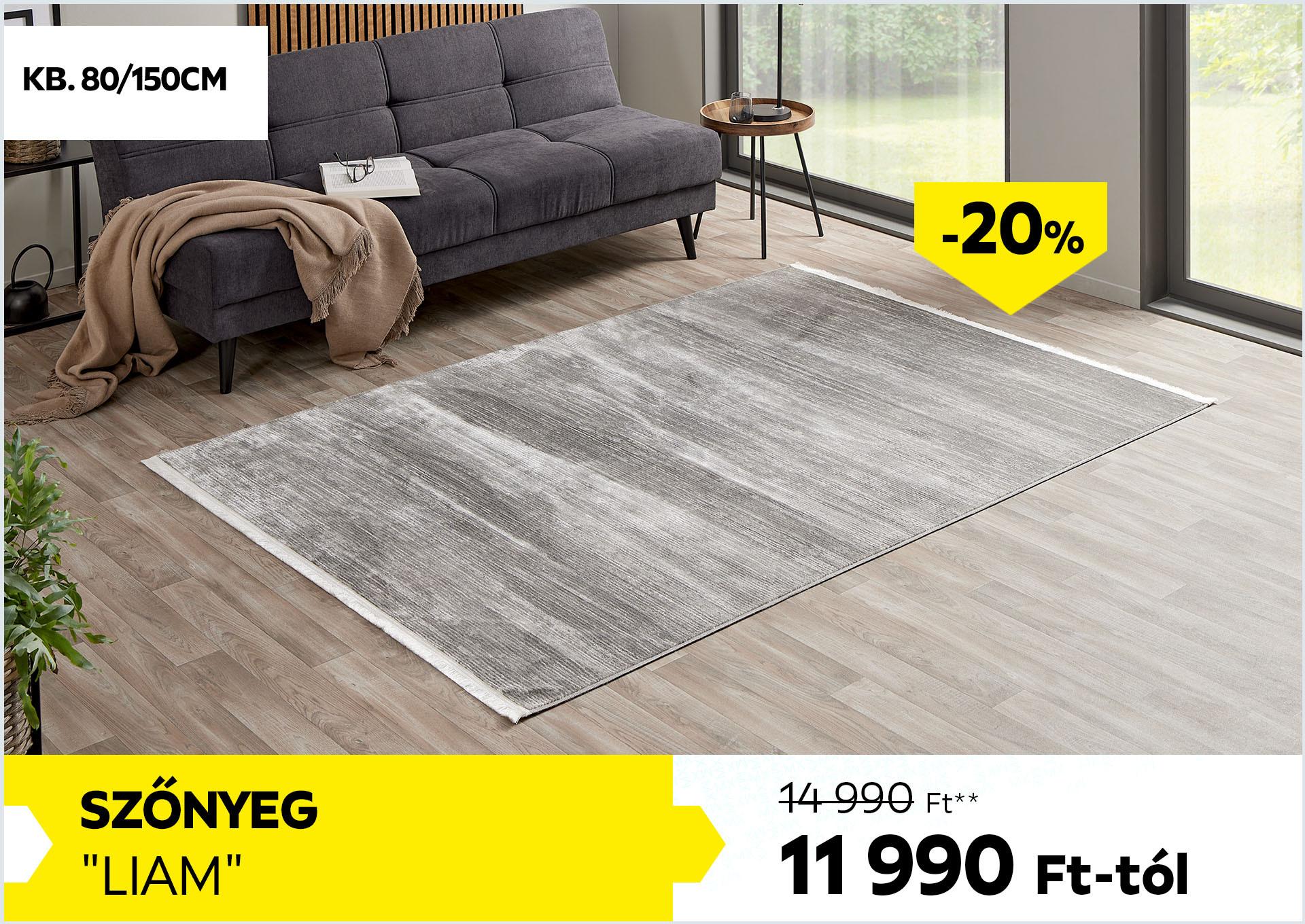 Szőnyeg kb. 80/150cm LIAM 14990Forint helyett 11990Forint kedvezmény mértéke 20%