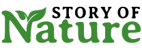 Story of Nature