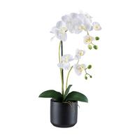 Kunstpflanze Orchideen Grün/Schwarz/Weiß, 50 cm - Schwarz/Weiß, Design, Keramik/Kunststoff (50cm) - P & B