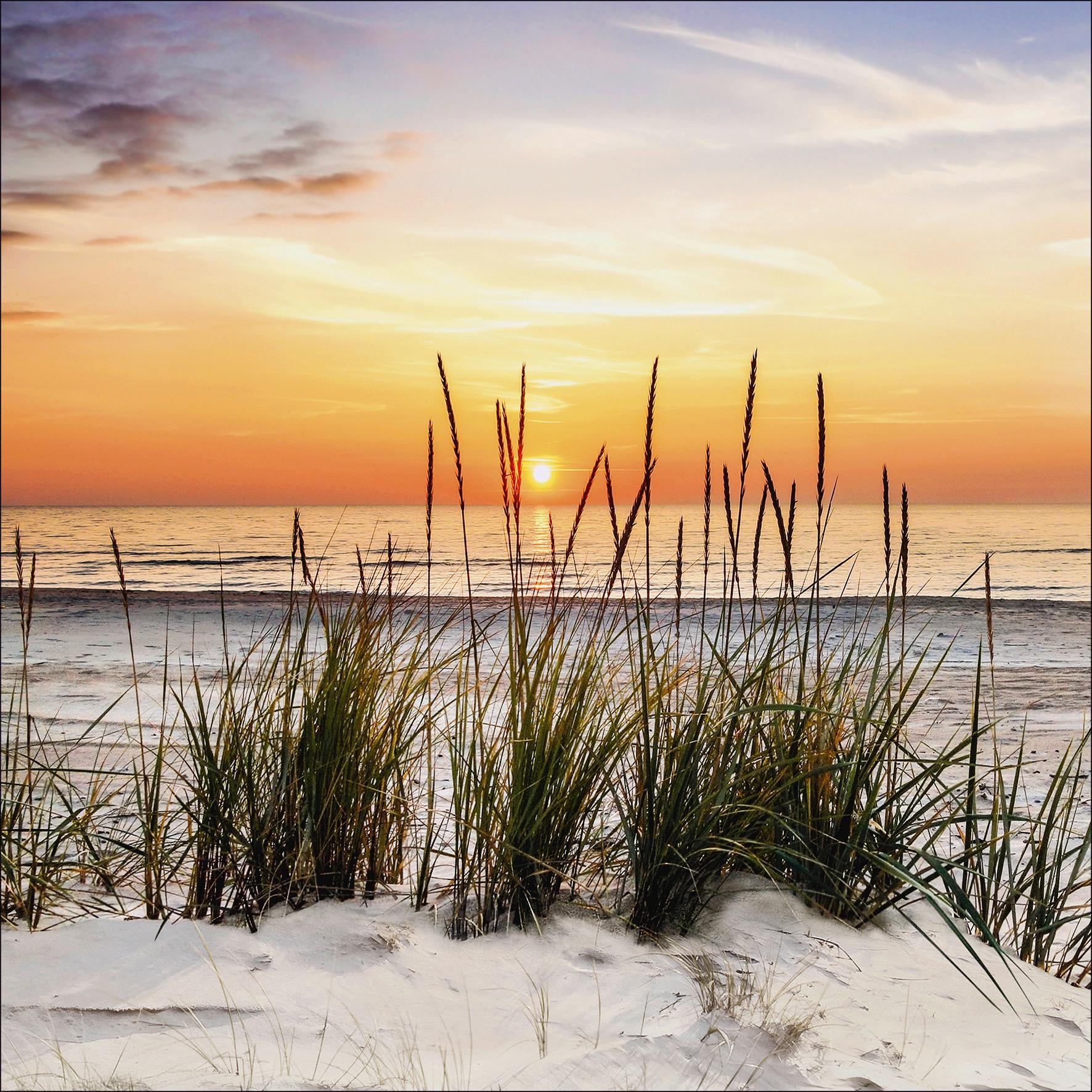 Leinwandbild Sonnenuntergang Am Strand Multicolor 50x50 cm - Gelb/Rot, MODERN, Holzwerkstoff (50/50/2cm)