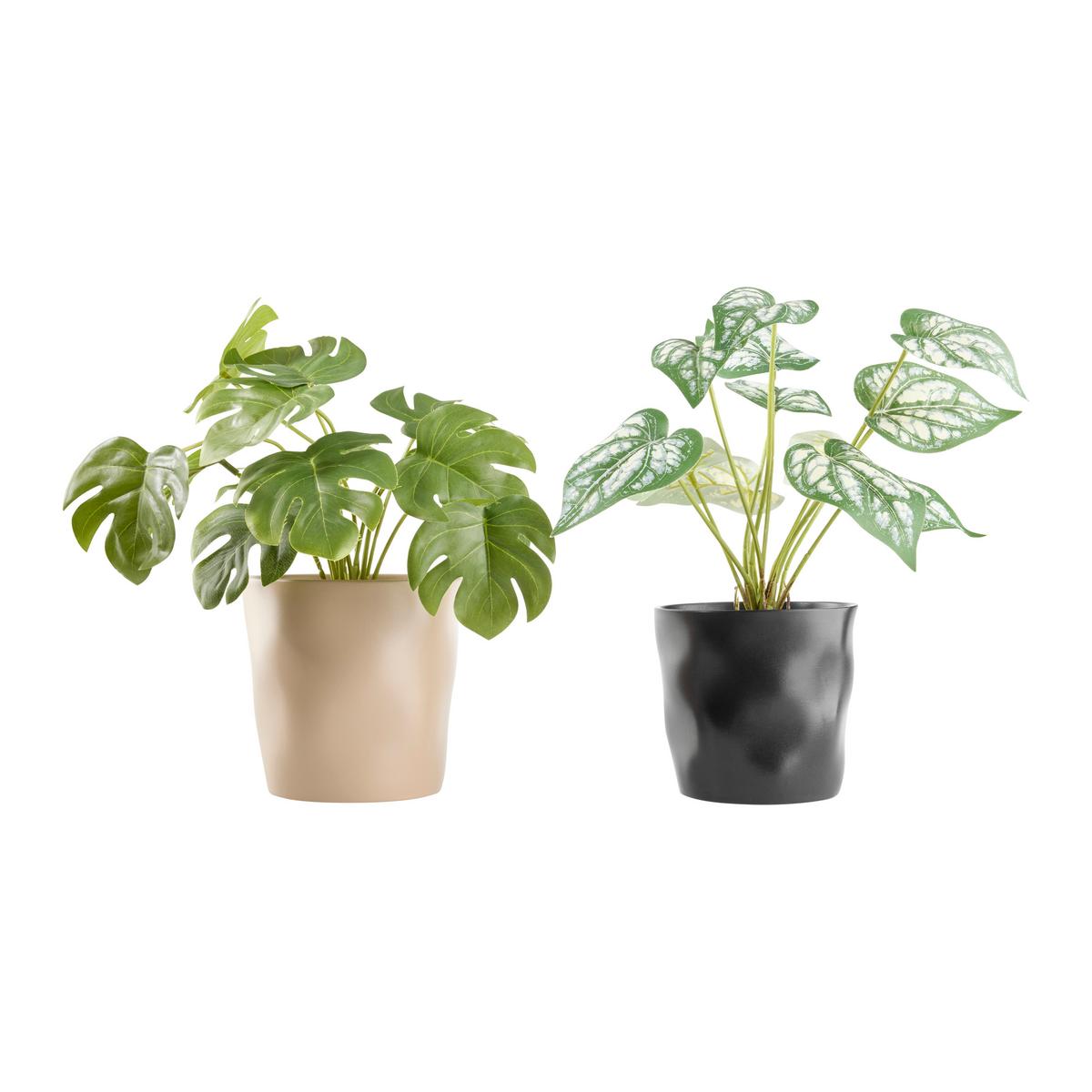 Obal na kvetináč CASHMERE -PAZ- - taupe, keramika (15,5/14,5cm) - Mömax