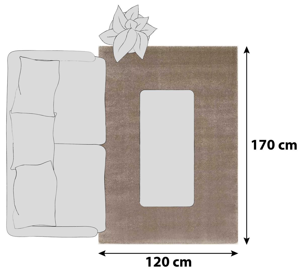 Hochflorteppich Bellevue Beige 120x170 cm - Beige, Basics, Textil (120/170cm) - Novel