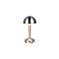 Led-tischleuchte, Nickel R54541107 - Transparent/Nickelfarben, Basics, Kunststoff/Metall (15,4/29,5cm)