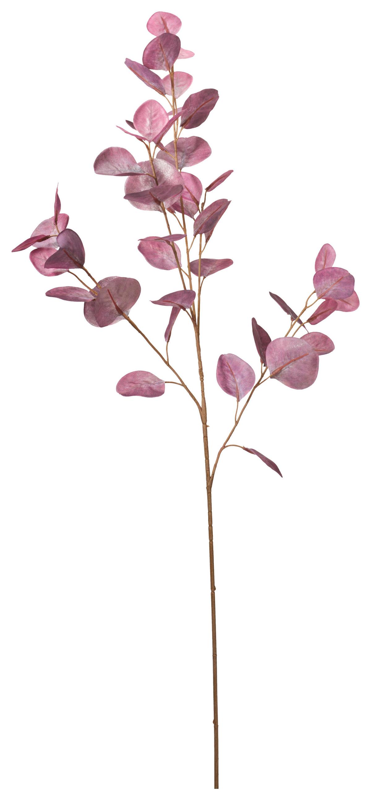 Umelá rastlina NORA - lila/svetlohnedá, Konventionell, plast (25/23/95cm) - Mömax